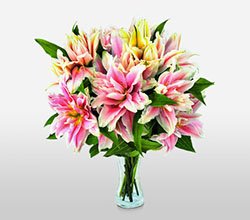 'Exquisite Touch' Luxurious Roselily