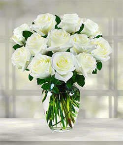 'Heavenly ' White Rose Bundle