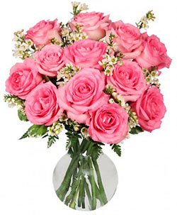 'Spicy Innocence' Pink Rose Bundle